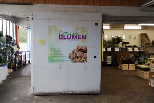 oettinger-blumen-14.jpeg